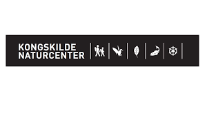 logo-kongskilde